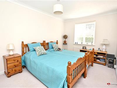 Picture 11